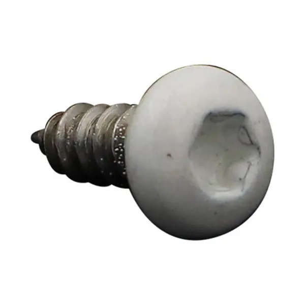 1 x Vis tôle tête cylindrique bombée large 4.2X13 Inox A2 TORX T20 RAL9010 blanc pur