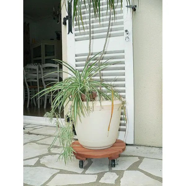 Support à roulettes bois rond "Flora Roll Lasure" - 50 cm - Nortene