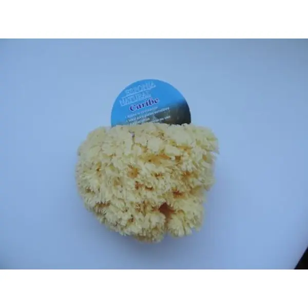Esponja Natural Caribe N.12 R-2020