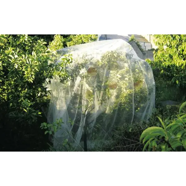 Filet de protection PROTECT FRUIT 5,2 x 5 m - Nortene