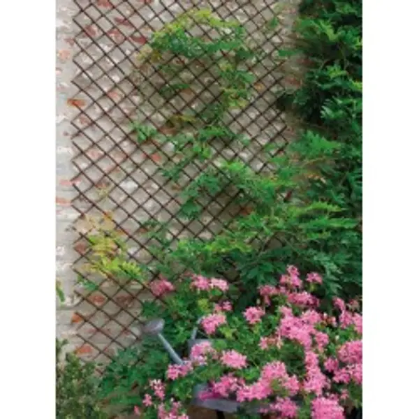 Treillis en osier naturel pelé Wick Trellis - Naturel - 1 x 2m - Nortene