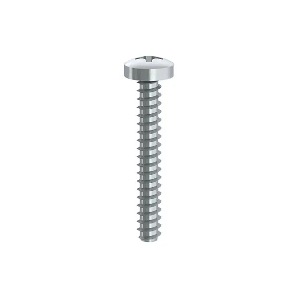 1 x Vis tôle Tête cylindrique TC Phillips n° 2 Sans pointe 4.8X19 Acier zingué