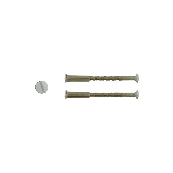 Lot De 2 Vis Acier Laqué, L.4.5 X L.0.7 - CHRISLIGNE