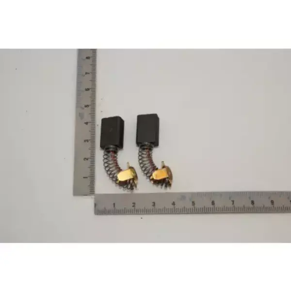 Charbons pour Scie sur Table Scheppach HS110 et Woodster ST110 - Jeu de 2 | Atelier des boiseux