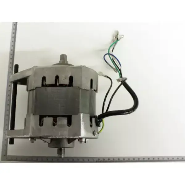 Moteur Ponceuse Scheppach BTS800 | Atelier des boiseux