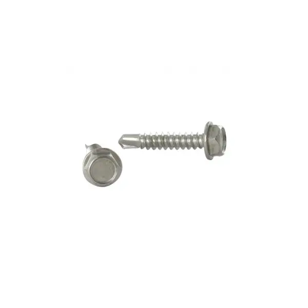 1 x Vis autoperceuse Tête hexagonale TH 6.3X19 Inox A4
