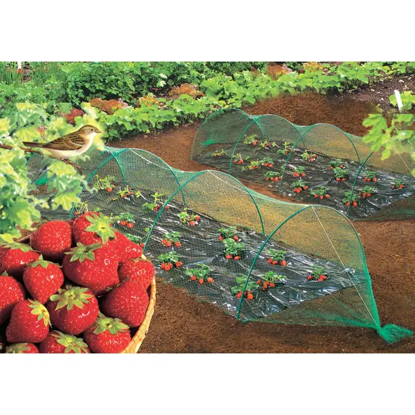 Filet de protection oiseaux "Birdnet" - 5 x 5 m - Vert - Nortene