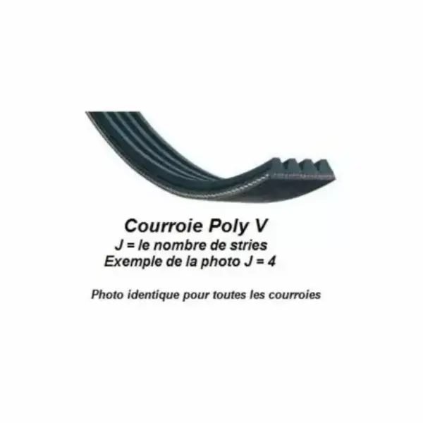 Courroie n°087 pour scie à ruban SRU355 et SRU315 - Longueur 610 mm | Atelier des boiseux