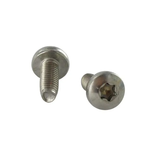 1 x Vis autotaraudeuse Tête cylindrique bombée TCB TORX T30 M6X30 Inox A2