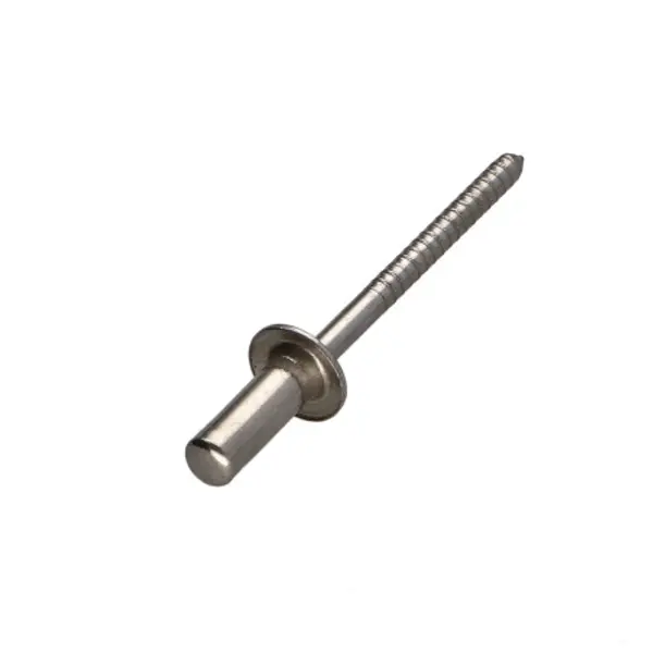 1 x Rivet GOMUST TRS Inox A2 4X10