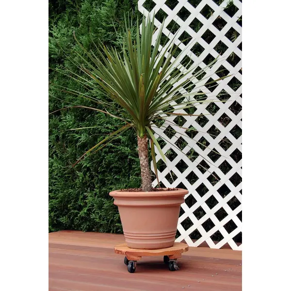 Support à roulettes bois rond "Flora Roll Lasure" - 50 cm - Nortene
