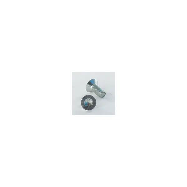 1 x Vis autotaraudeuse Tête fraisée TORX T20 M4X10 Inox A2