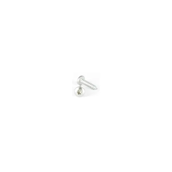 1 x Vis Vis tôle tête cylindrique bombée large TORX T25 4.8X9.5 Inox A4