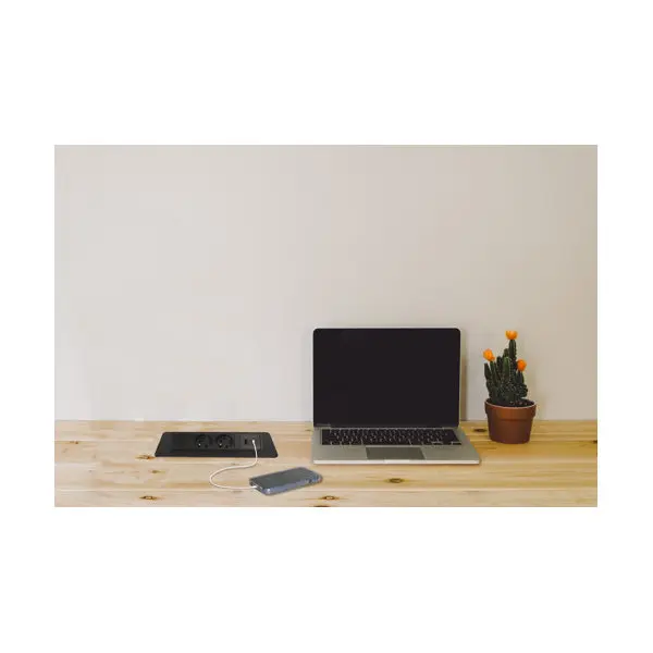 Bloc encastrable 2 prises 2P+T - 1 USB - 1 USB C - Noir