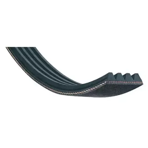 Courroie Poly-V 1168 J 10 pour moteur Degau Kity 638 | Atelier des boiseux