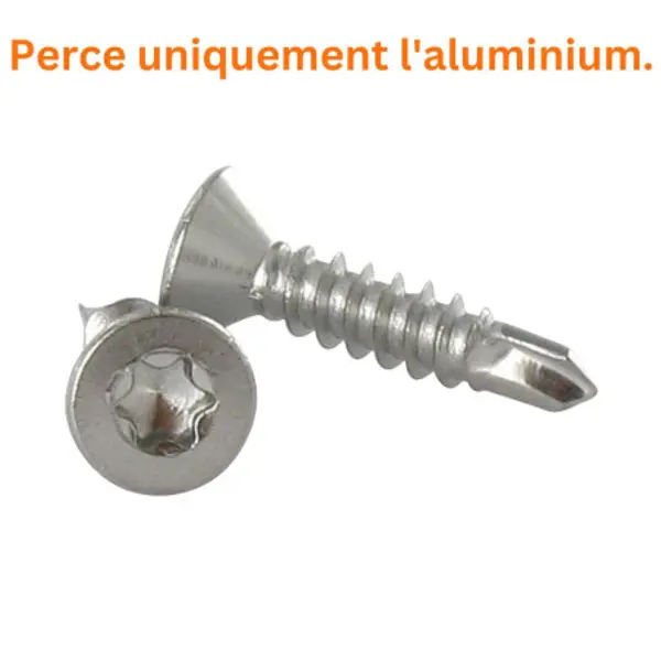 1 x Vis autoperceuse Inox A2 Tête fraisée 4.8X60 TORX T25