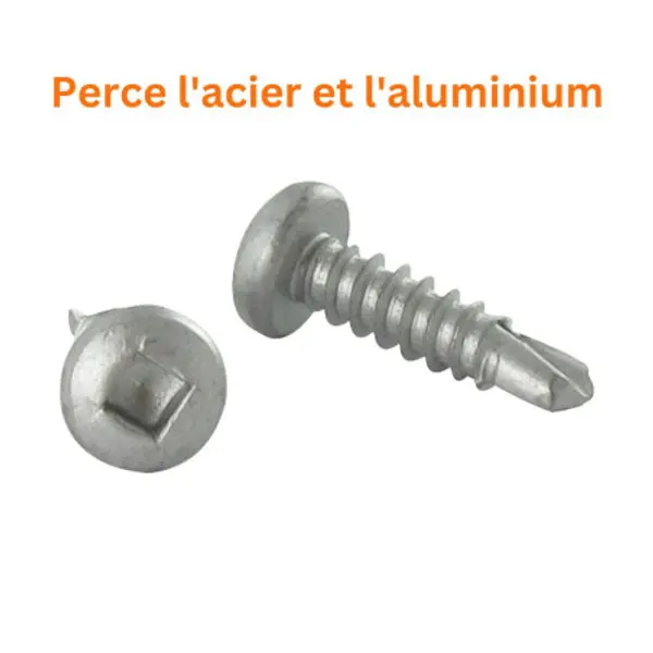 1 x Vis autoperceuse Tête cylindrique TC Carré 4.8X25 Inox AISI 410
