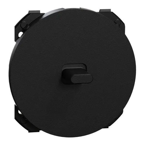 Enjoliveur seul pour va - et - vient ou poussoir à levier Odace Noir onyx - Schneider Electric - S949201