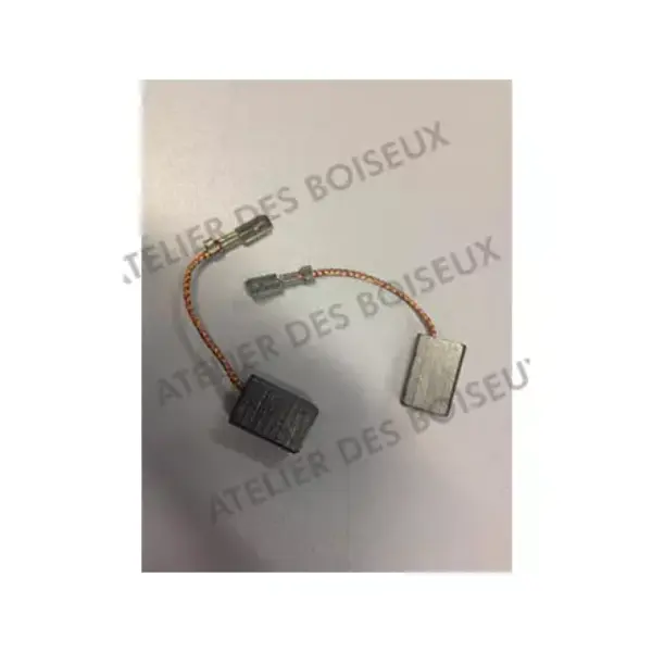 Kity - Jeu de deux charbons pour scie plongeante 550 | Atelier des boiseux