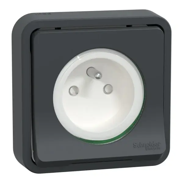 Prise de courant 2P+T IP55 IK08 Connexion automatique Anthracite - Mureva Styl - Schneider Electric - MUR35036