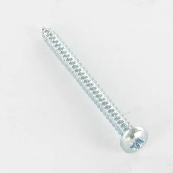 1 x Vis tôle tête cylindrique bombée large Pozi 5.5X50 Acier zingué