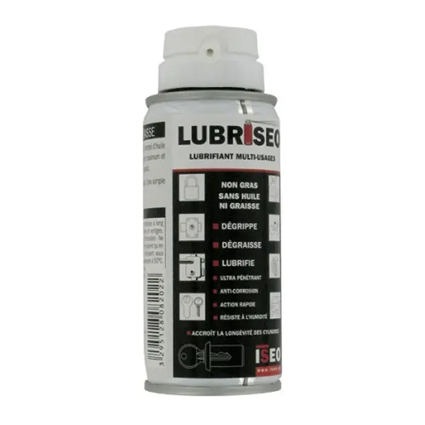 Aérosol lubrifiant 100 ml Lubriseo
