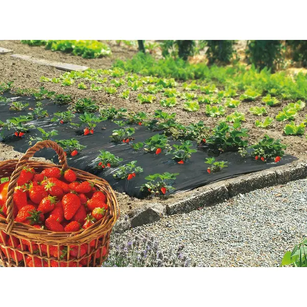 Film de paillage spécial fraises "Fresafilm" - 1,40 x 20 m - Nortene