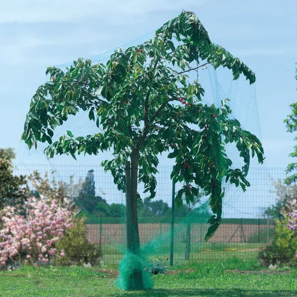 Filet de protection oiseaux "Birdnet" - 5 x 10 m - Vert - Nortene