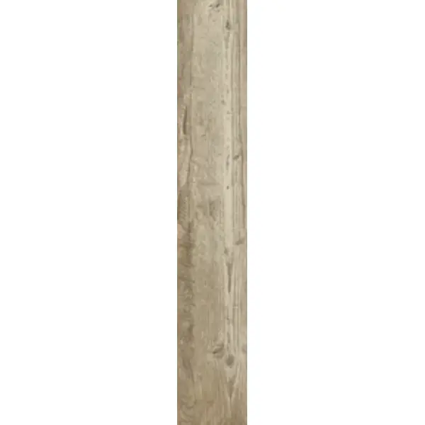 Carrelage extérieur Alpi - avana - 20x120 cm