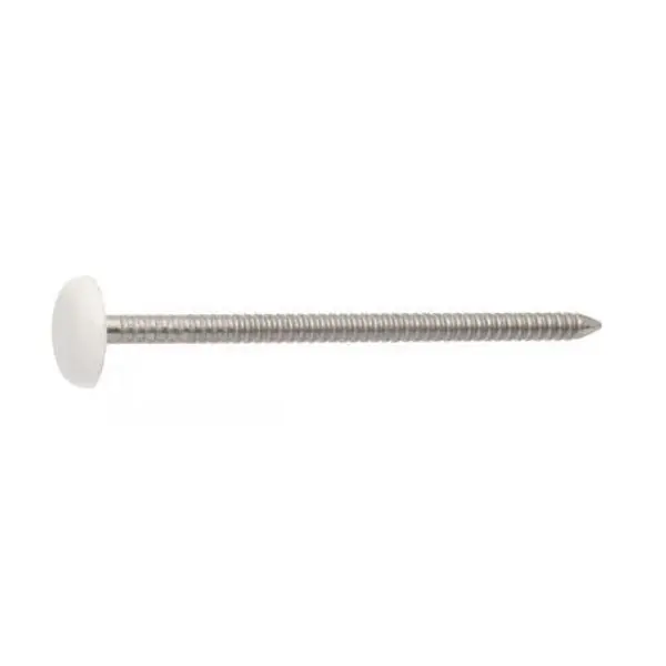 1 x Pointe ANNELEE Tête PLASTIFIEE 2.1X30 Inox A4