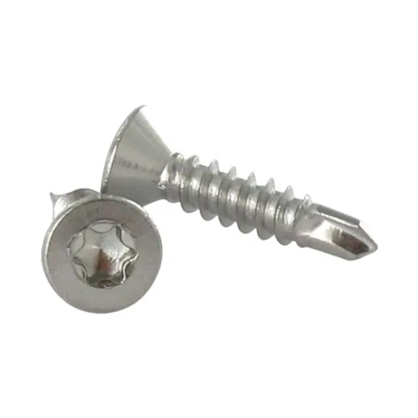 1 x Vis autoperceuse Inox A2 Tête fraisée 5.5X22 TORX T25
