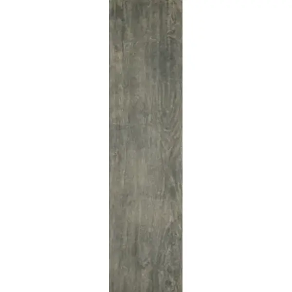 Carrelage intérieur Alpi - grigio - 30 x 120 cm - rectifié